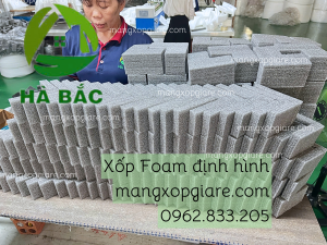 khay-xop-foam-dinh-hinh