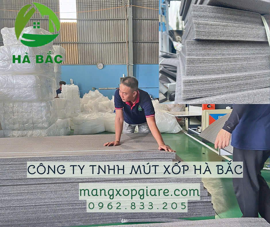 xop-foam-den xop-foam-den