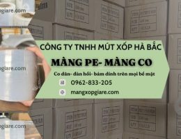 mang-chit-3kg-loi-300g