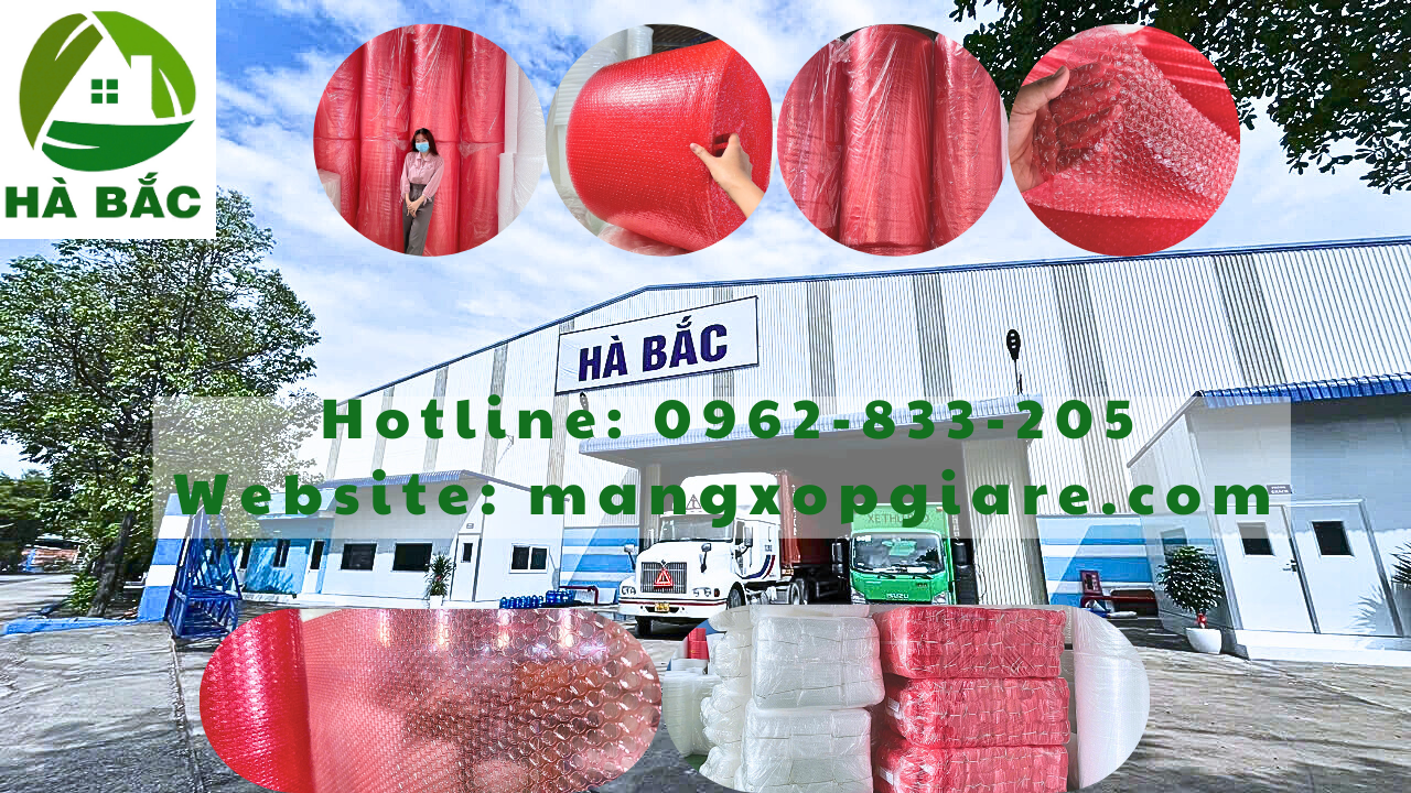 xop-hoi-hong-chong-tinh-dien