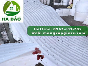 mang-xop-foam-duc-lo