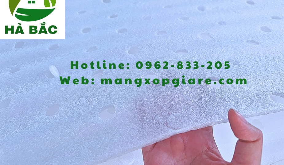 mang-xop-foam-duc-lo