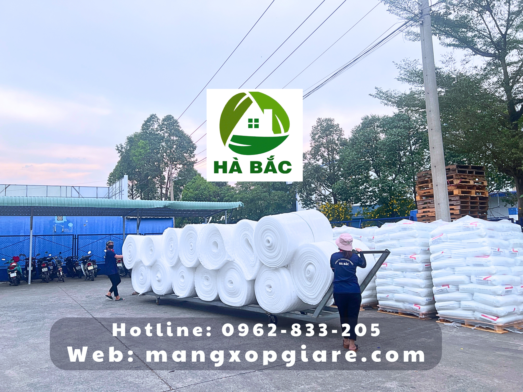 cuon-xop-pe-foam-5mm