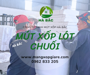 foam đục lỗ lót chuối 2.5mm