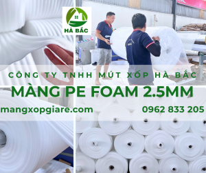 mang-xop-pe-foam-2.5mm