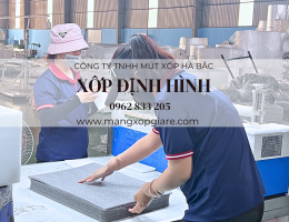 xop-pe-foam-dinh-hinh