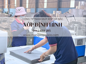 xop-pe-foam-dinh-hinh