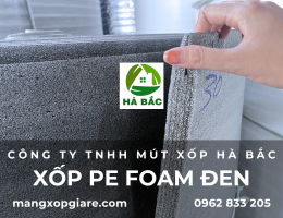 mut-xop-pe-foam-den