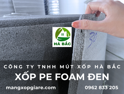 mut-xop-pe-foam-den