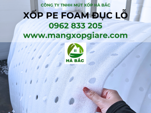 xop-pe-foam-duc-lo
