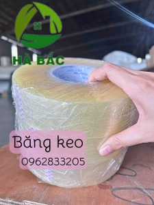 băng keo trong