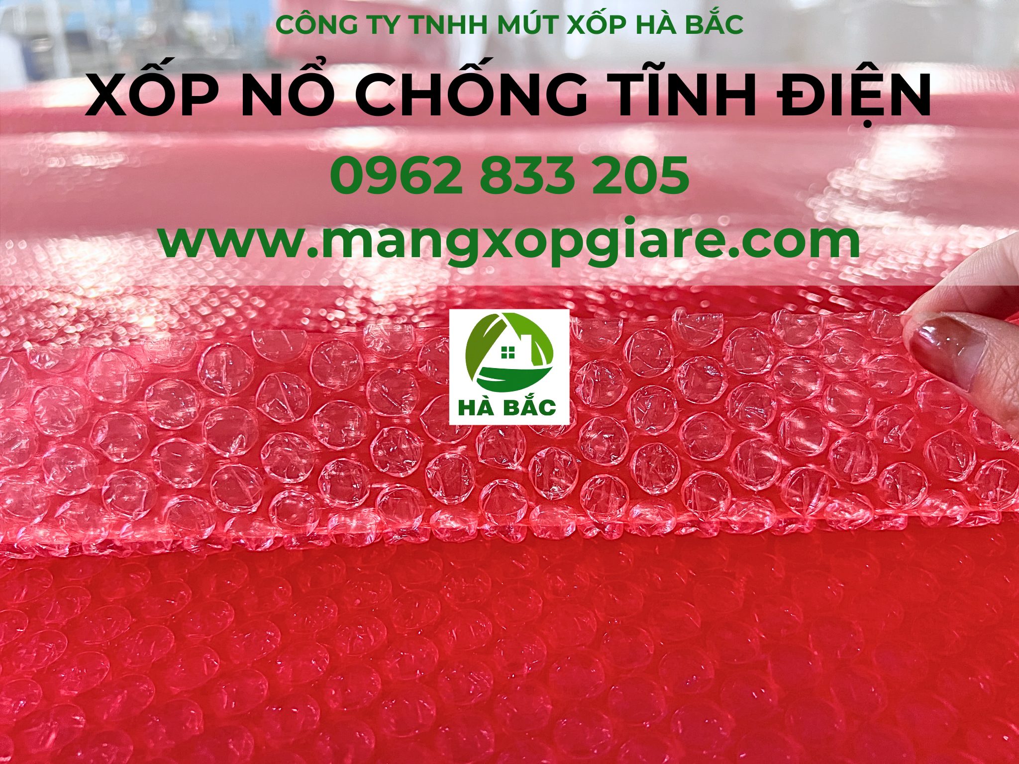 tam-xop-hoi-chong-tinh-dien tam-xop-hoi-chong-tinh-dien