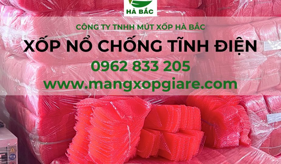 tam-xop-hoi-chong-tinh-dien