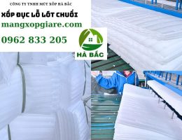 foam-duc-lo-lot-chuoi-2-5mm