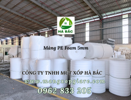 pe-foam-5mm-lot-balo