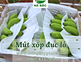 xop-lot-chuoi-xuat-khau