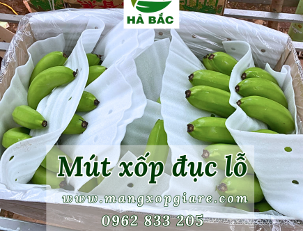 xop-lot-chuoi-xuat-khau