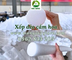 xop-deo-cay-cam-hoa
