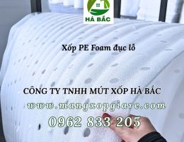 pe-foam-duc-lo