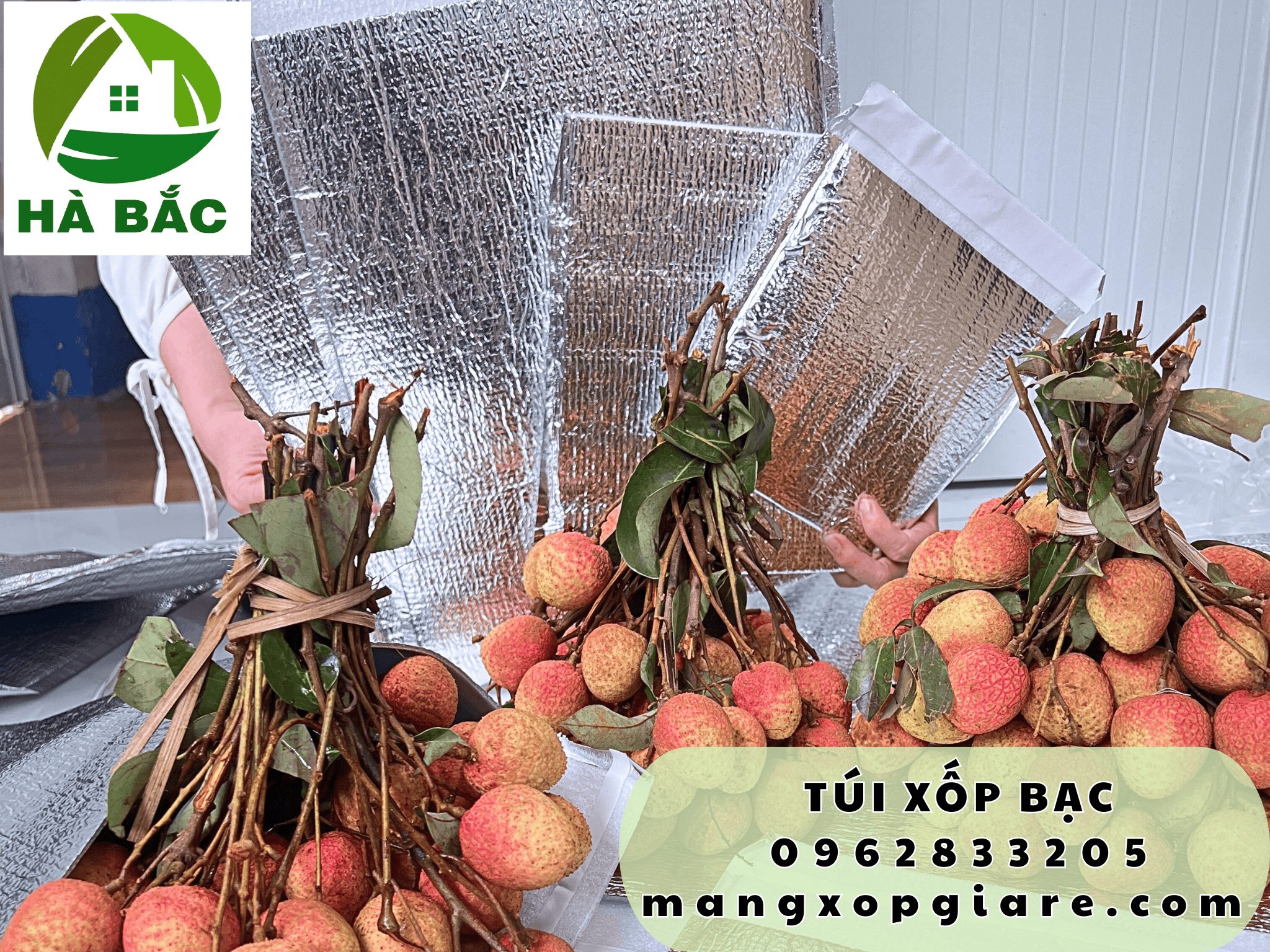 tui-xop-bac-giu-nhiet tui-xop-bac-giu-nhiet