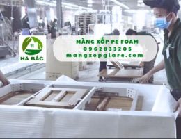 mang-xop-pe-foam-0.5mm