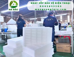 khay-xop-dinh-hinh-pe-foam