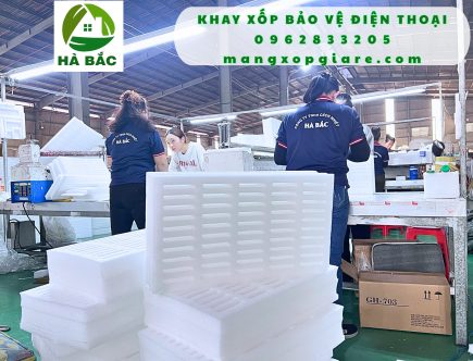 khay-xop-dinh-hinh-pe-foam