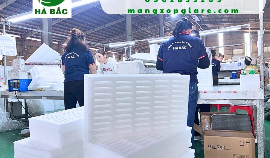 khay-xop-dinh-hinh-pe-foam