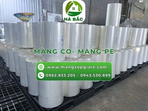 mang-chit