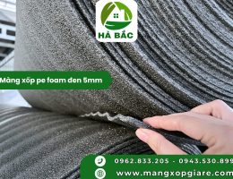 mang-xop-pe-foam-den-5mm