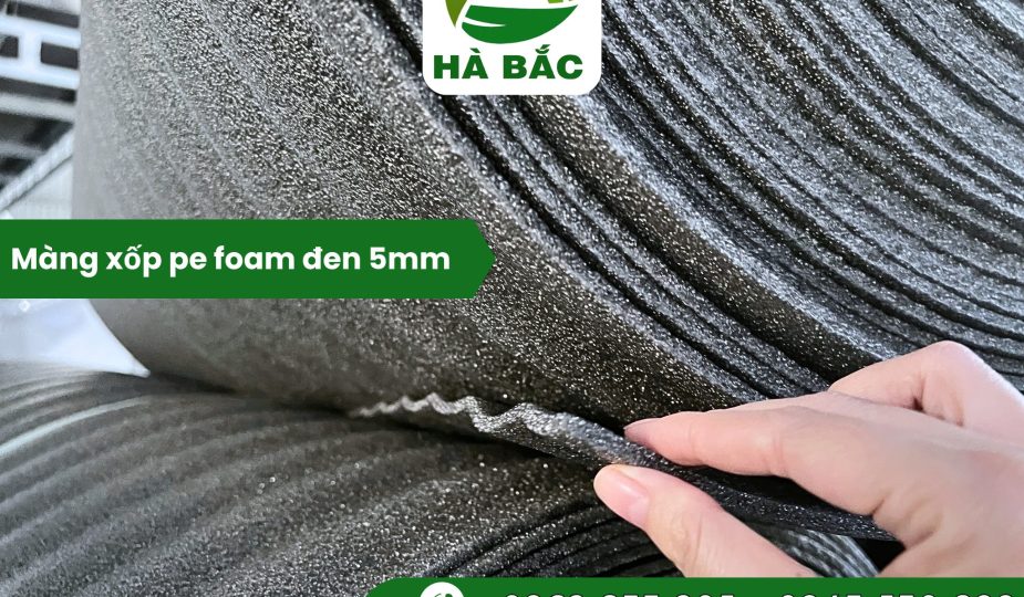mang-xop-pe-foam-den-5mm