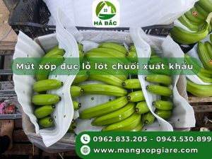 mut-xop-duc-lo-lot-chuoi-xuat-khau