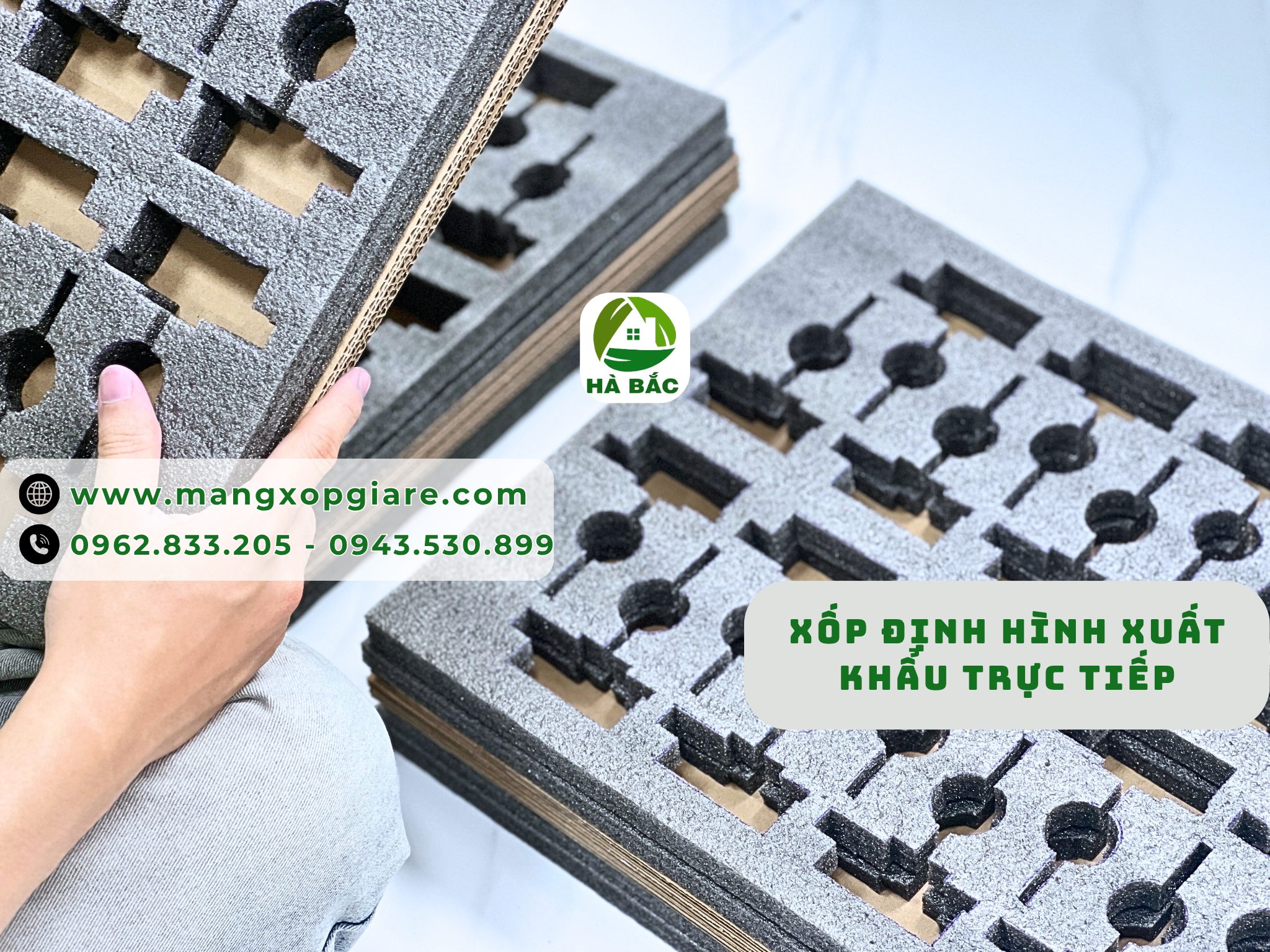 xop-dinh-hinh-xuat-khau-truc-tiep xop-dinh-hinh-xuat-khau-truc-tiep