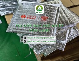 tui-xop-bac-giu-nhiet-kem-lanh