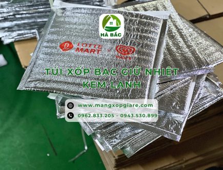 tui-xop-bac-giu-nhiet-kem-lanh