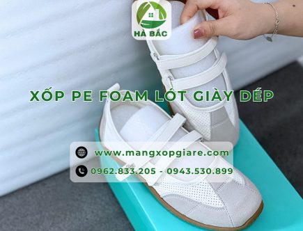 mut-xop-foam-10mm-giu-form-giay-dep