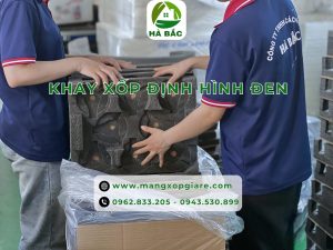 xop-dinh-hinh-pe-foam-den