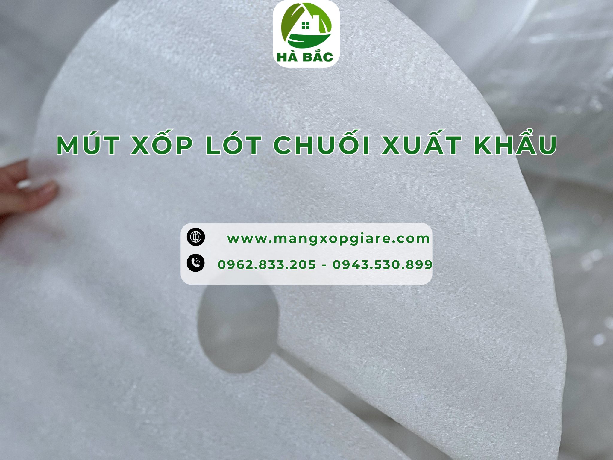 tam-xop-lot-chuoi-xuat-khau