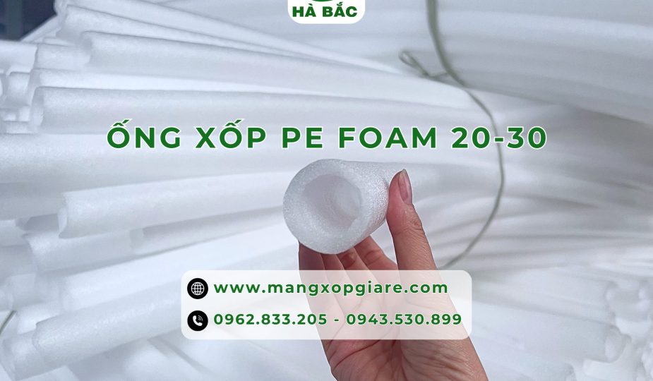 ong-xop-pe-foam-20*30