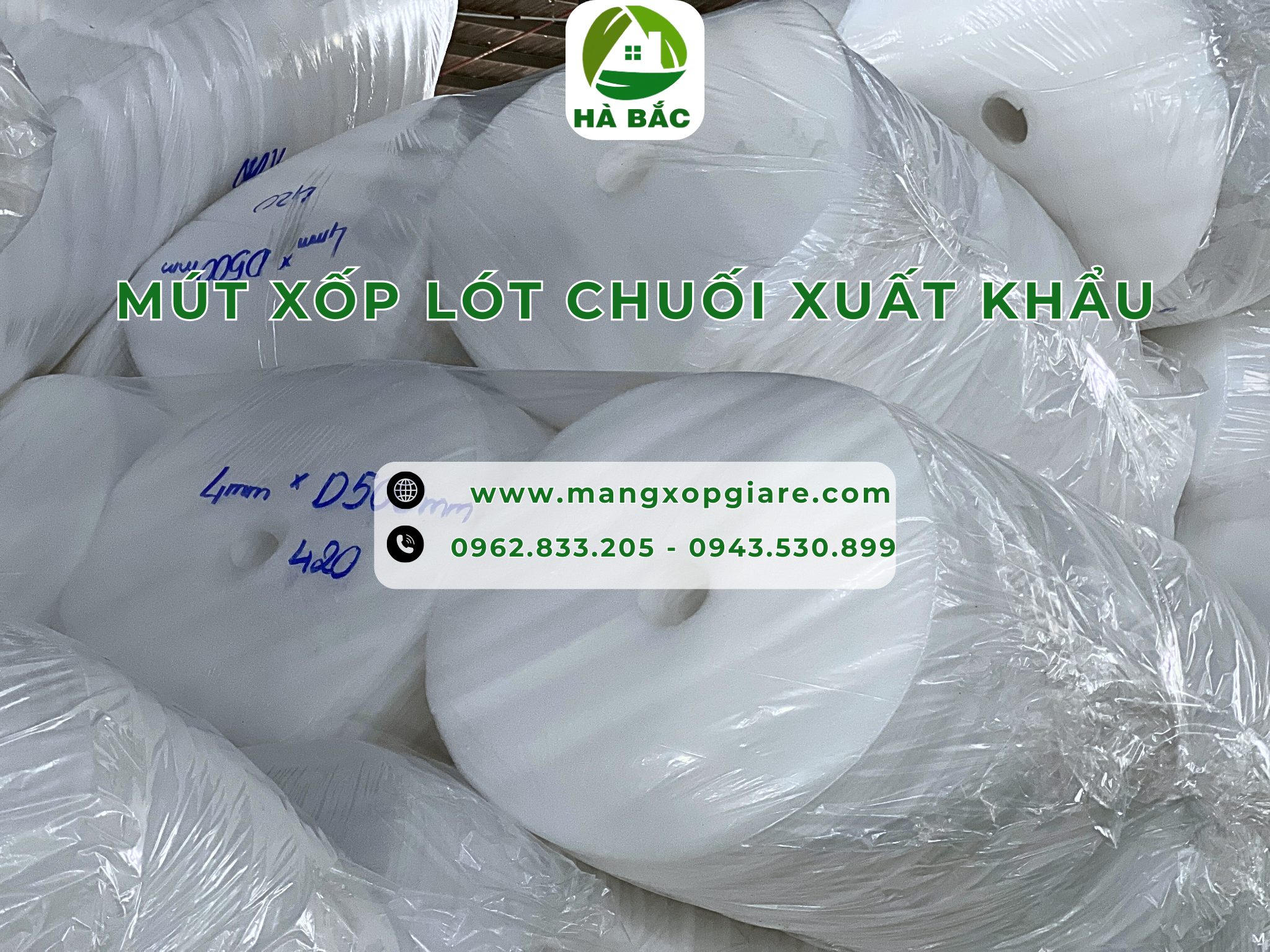 tam-xop-lot-chuoi-xuat-khau