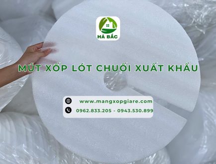 tam-xop-lot-chuoi-xuat-khau