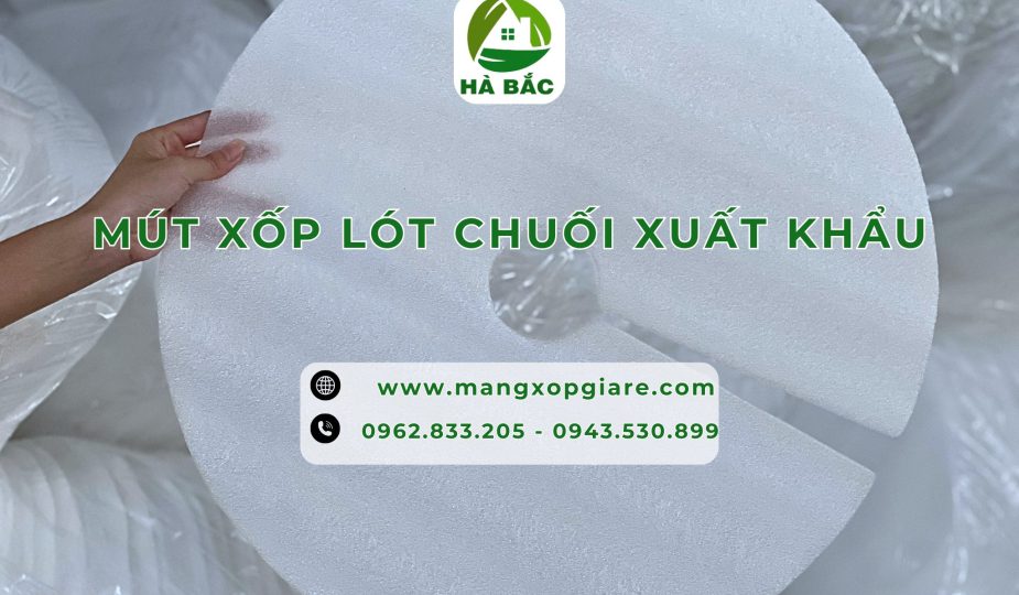 tam-xop-lot-chuoi-xuat-khau