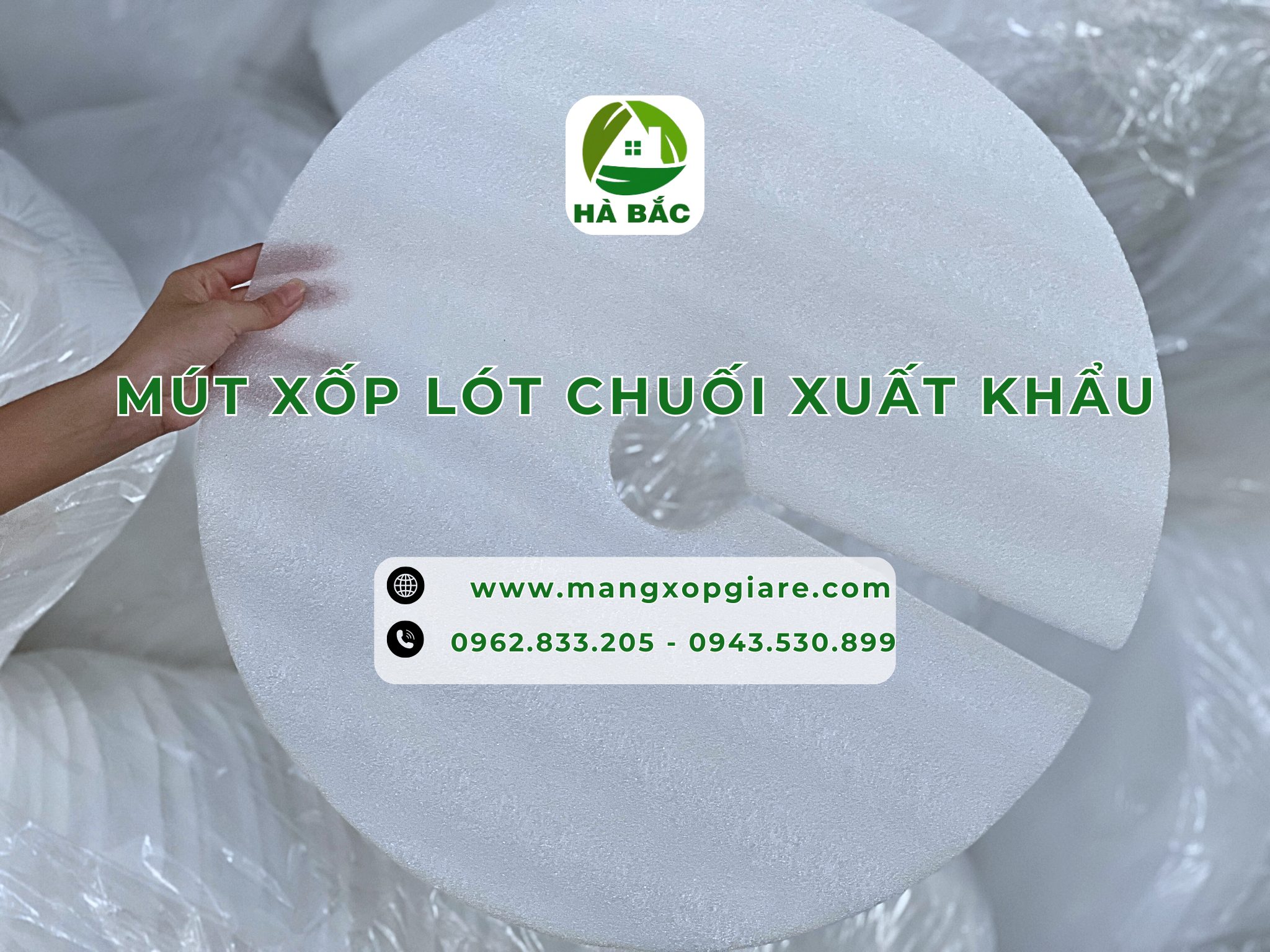 tam-xop-lot-chuoi-xuat-khau