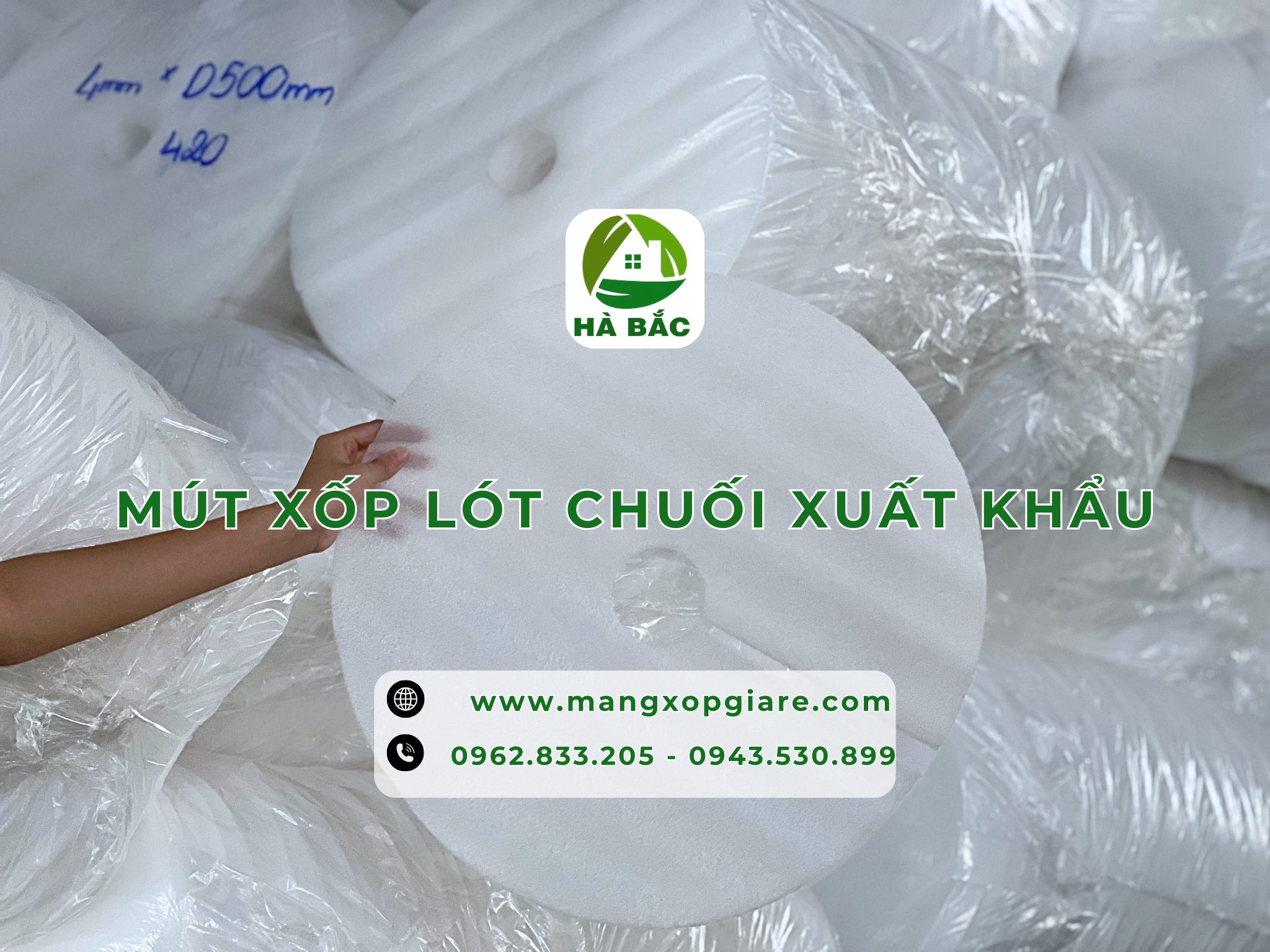 tam-xop-lot-chuoi-xuat-khau