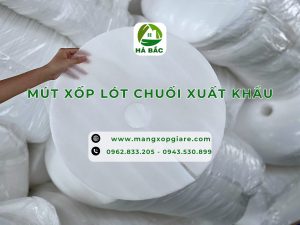 tam-xop-lot-chuoi-xuat-khau