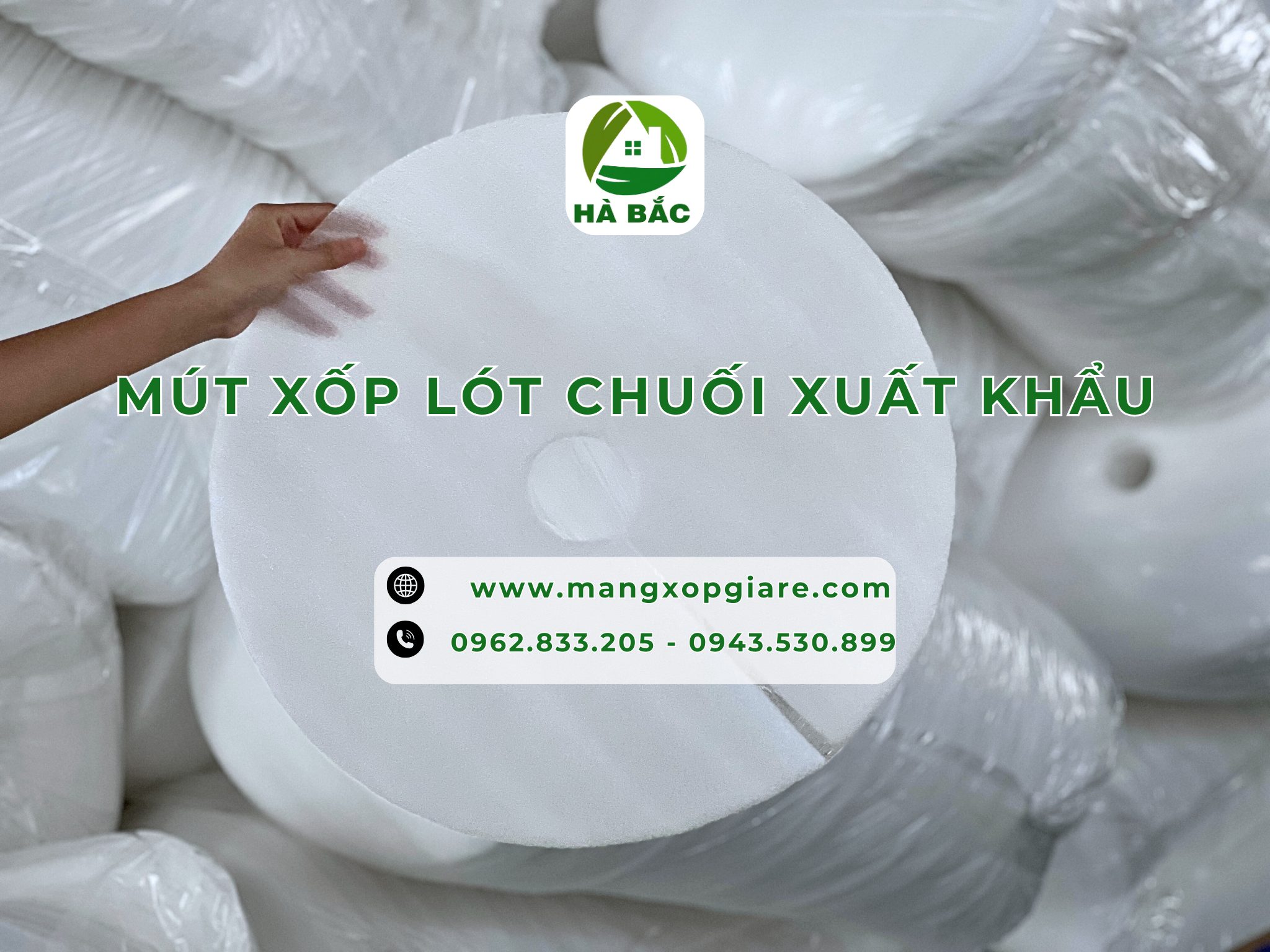 tam-xop-lot-chuoi-xuat-khau