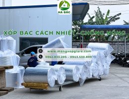 cuon-xop-bac-chong-nong