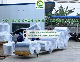 cuon-xop-bac-chong-nong