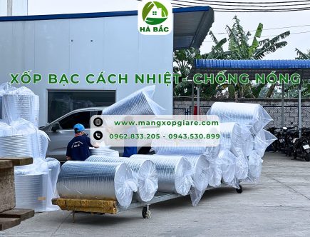 cuon-xop-bac-chong-nong