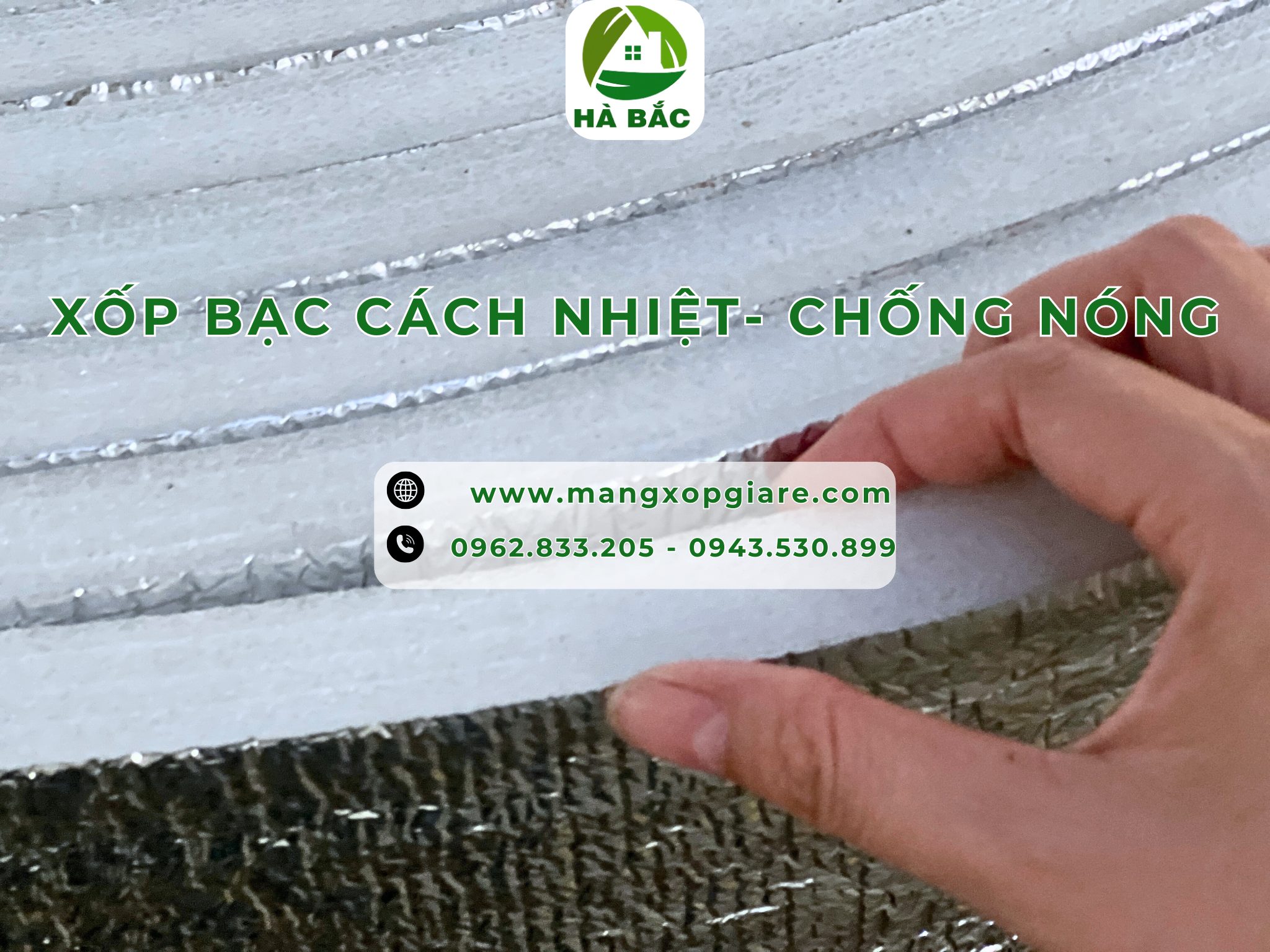 cuon-xop-bac-chong-nong